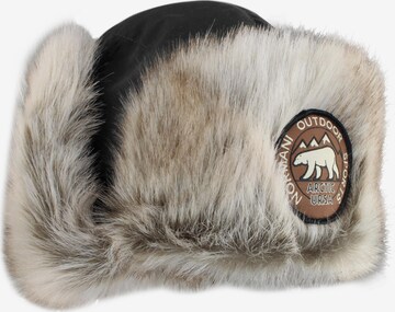 Chapeaux 'Arctic Ursa' normani en gris