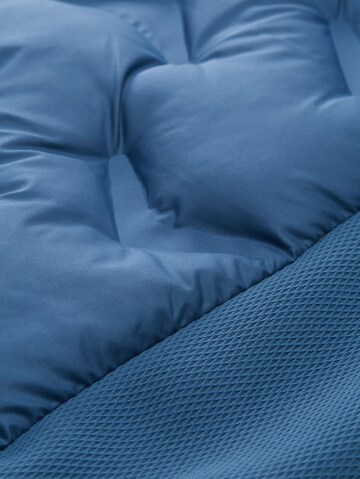 TOM TAILOR Tussenjas in Blauw