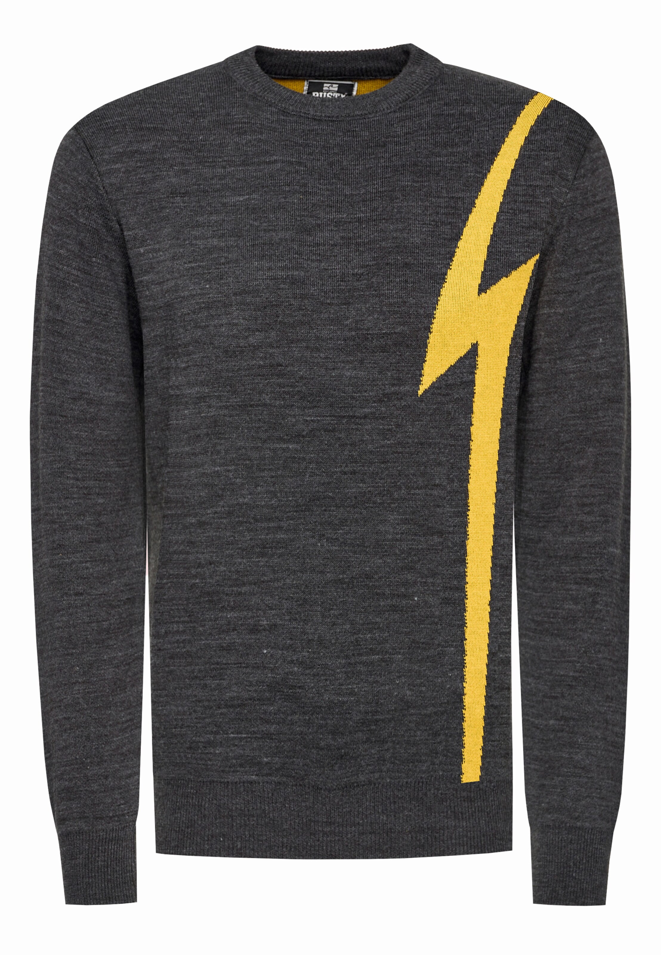 Rusty Neal Pullover in Grau: Vorderseite