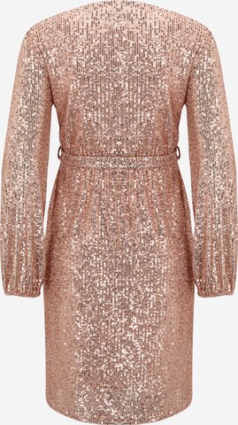 Dorothy Perkins Maternity Kleid in Pink