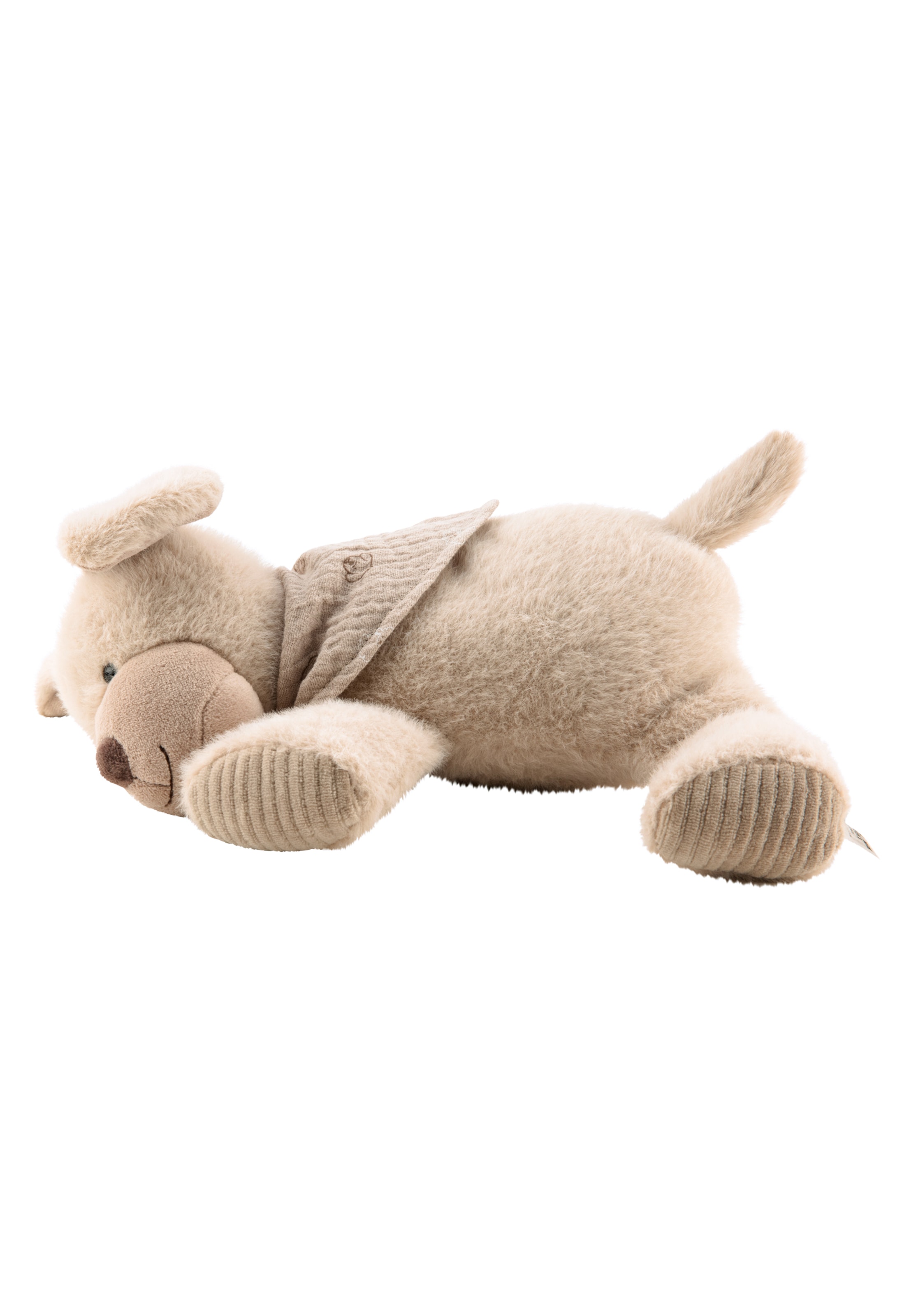 STERNTALER Stuffed animals 'Hund Lucky' in Beige: front
