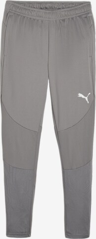 PUMA Sporthose in Grau: predná strana