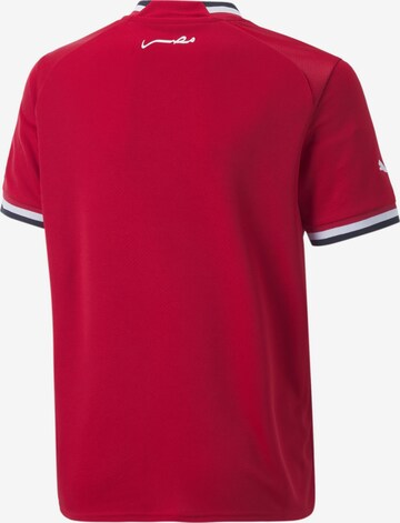 PUMA Functioneel shirt 'Ägypten 22/23' in Rood