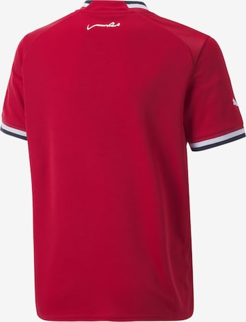 T-Shirt fonctionnel 'Ägypten 22/23' PUMA en rouge