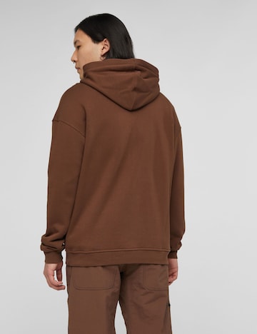 MAMMUT Sweatshirt in Braun