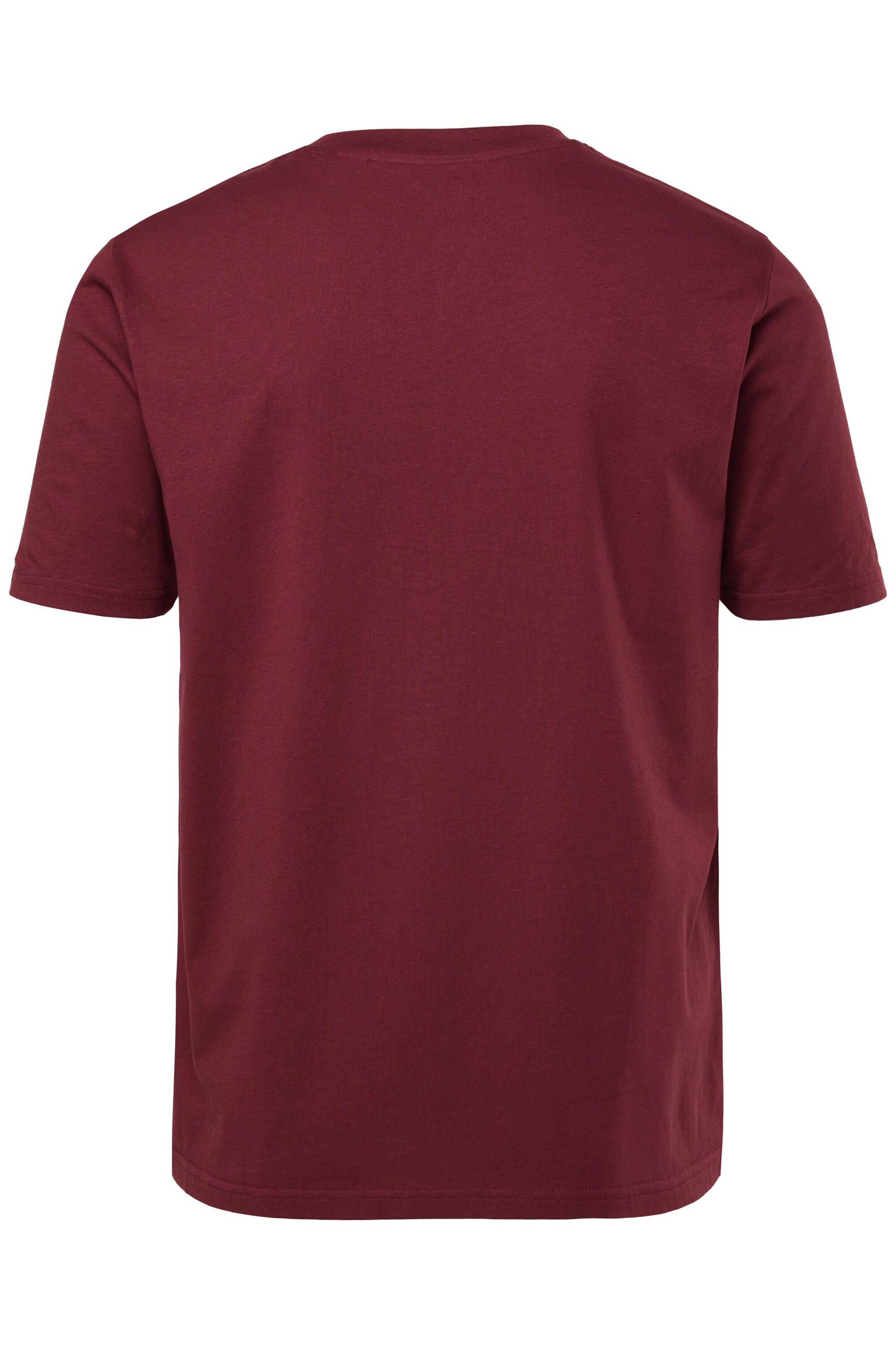 Men Plus Shirt in Red