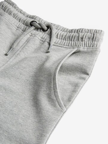 Next Skinny Broek in Grijs