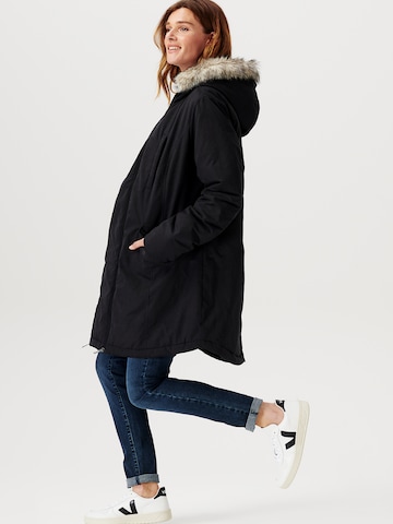 Noppies Winter Jacket 'Palus' in Black