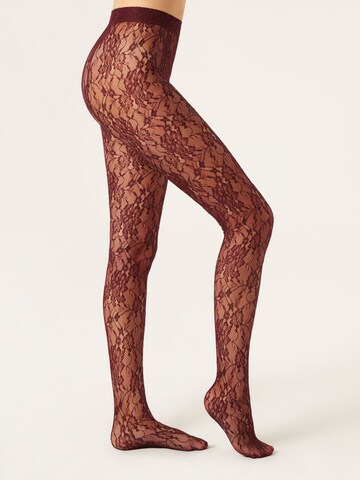 CALZEDONIA Strumpfhose in Rot