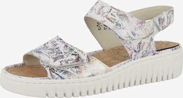 Sandales à lanières 'H-Willow' WALDLÄUFER en mélange de couleurs : devant
