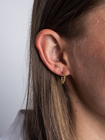 Akitsune Earrings 'Delight' in Gold
