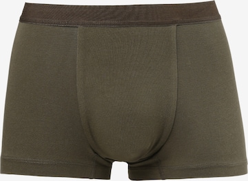 Colin's Boxer shorts in Green: front