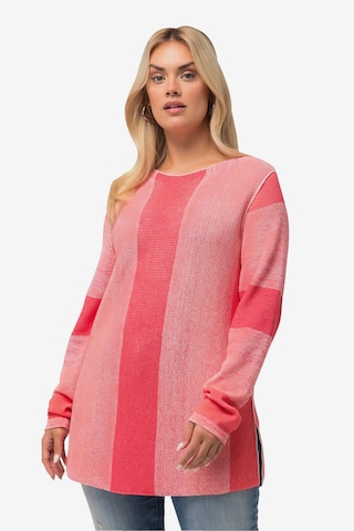 Ulla Popken Sweater in Pink: front