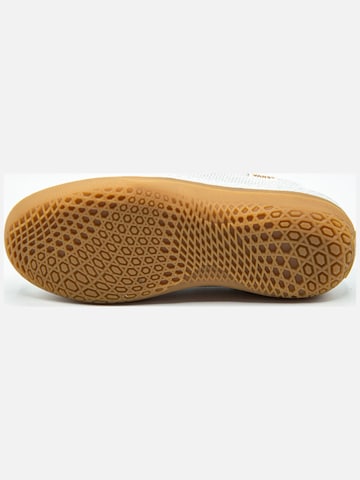 Baskets basses 'Vans Circle Vee' VANS en gris