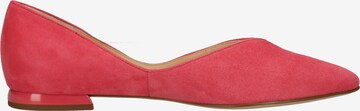 Högl Ballet Flats in Pink