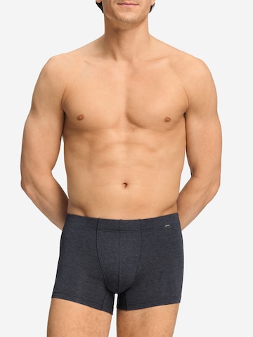 Boxers ' Casuals Daywear ' Hanro en gris : devant