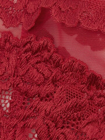INTIMISSIMI Thong in Red