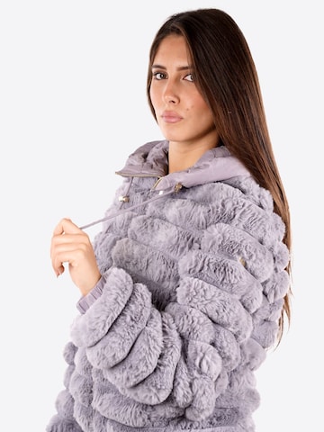 Veste d’hiver 'J012K200809' Yes Zee en gris