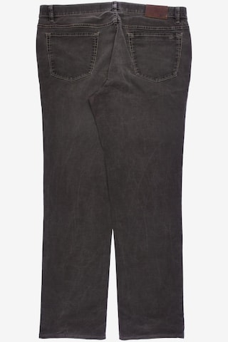 Hiltl Jeans in 40 in Brown