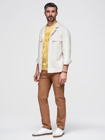 Ombre Regular Cargo Pants in Brown