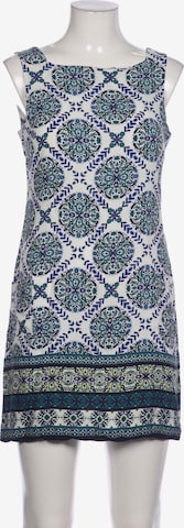 Aprico Dress in L in Green: front