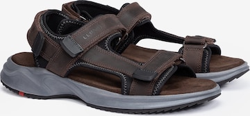 LLOYD Sandals 'ECHO' in Brown