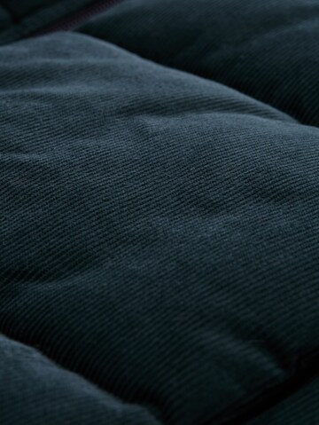 TOM TAILOR DENIM Bodywarmer in Groen