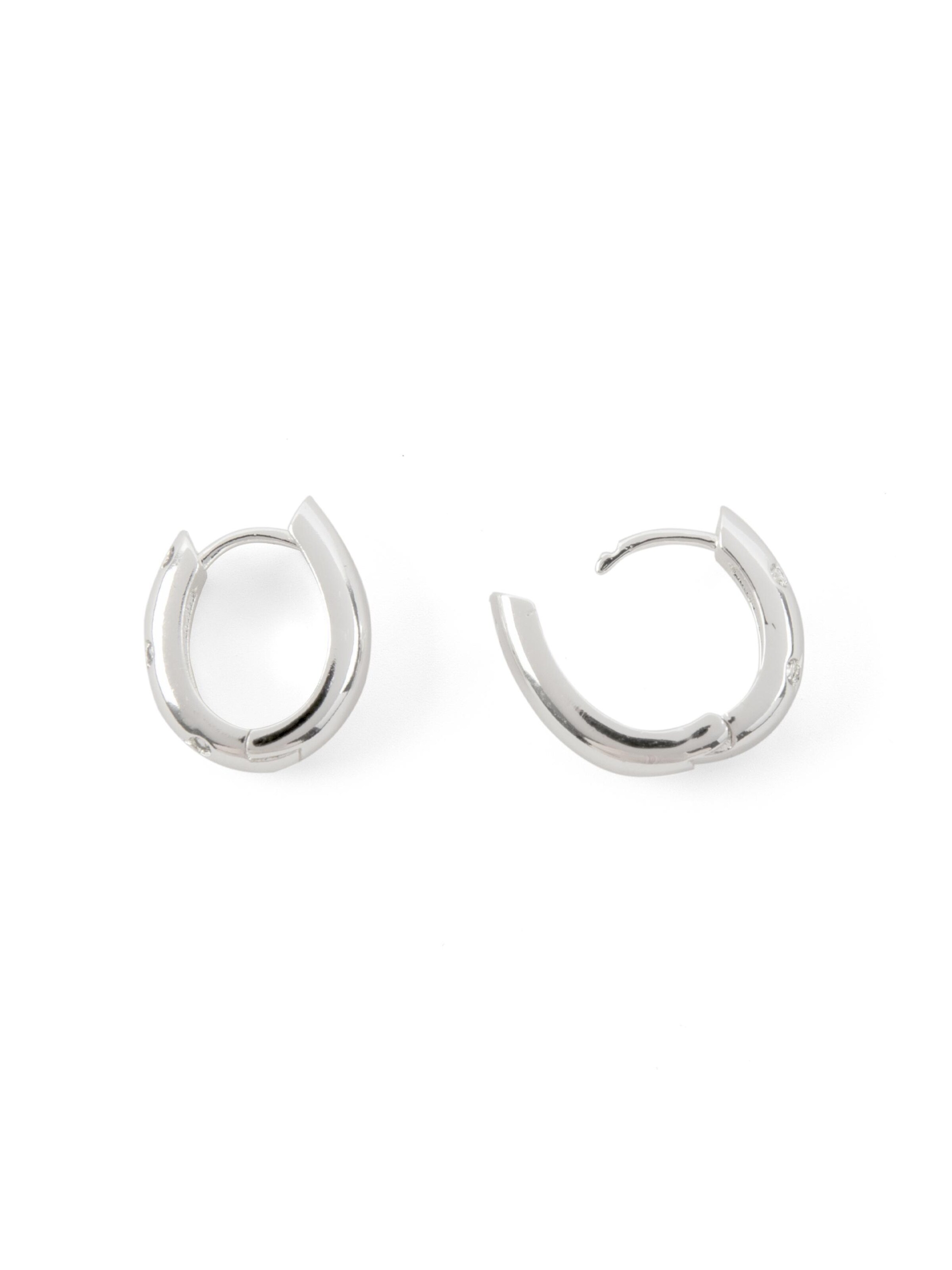 Luxenter Earrings 'Donwa' in Silver
