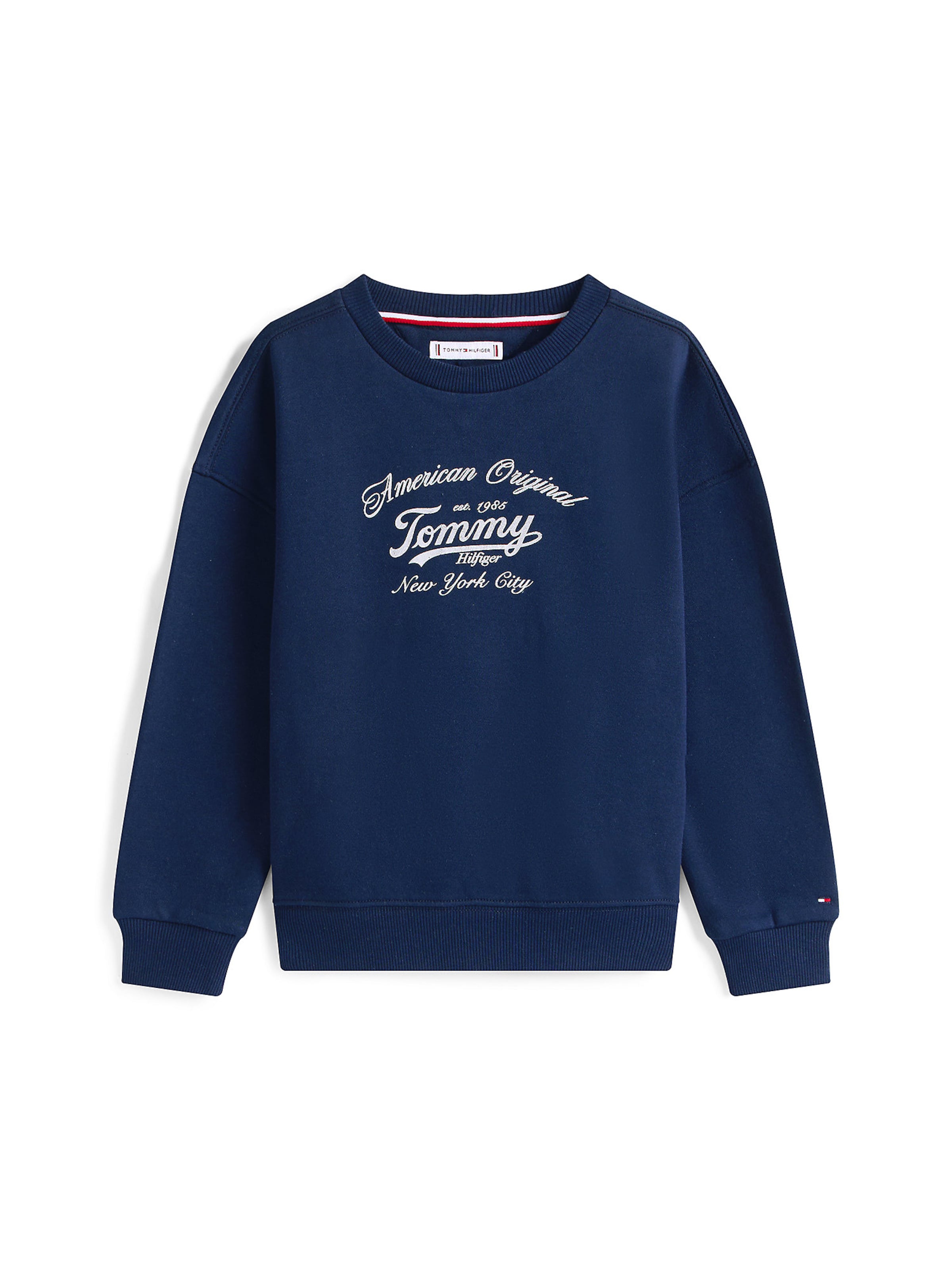 TOMMY HILFIGER - Sweatshirt em azul: frente