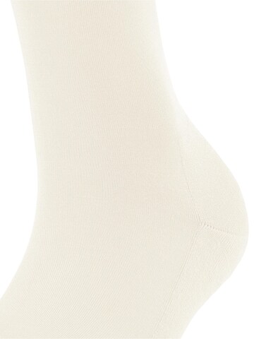 FALKE Knee High Socks 'ClimaWool' in White