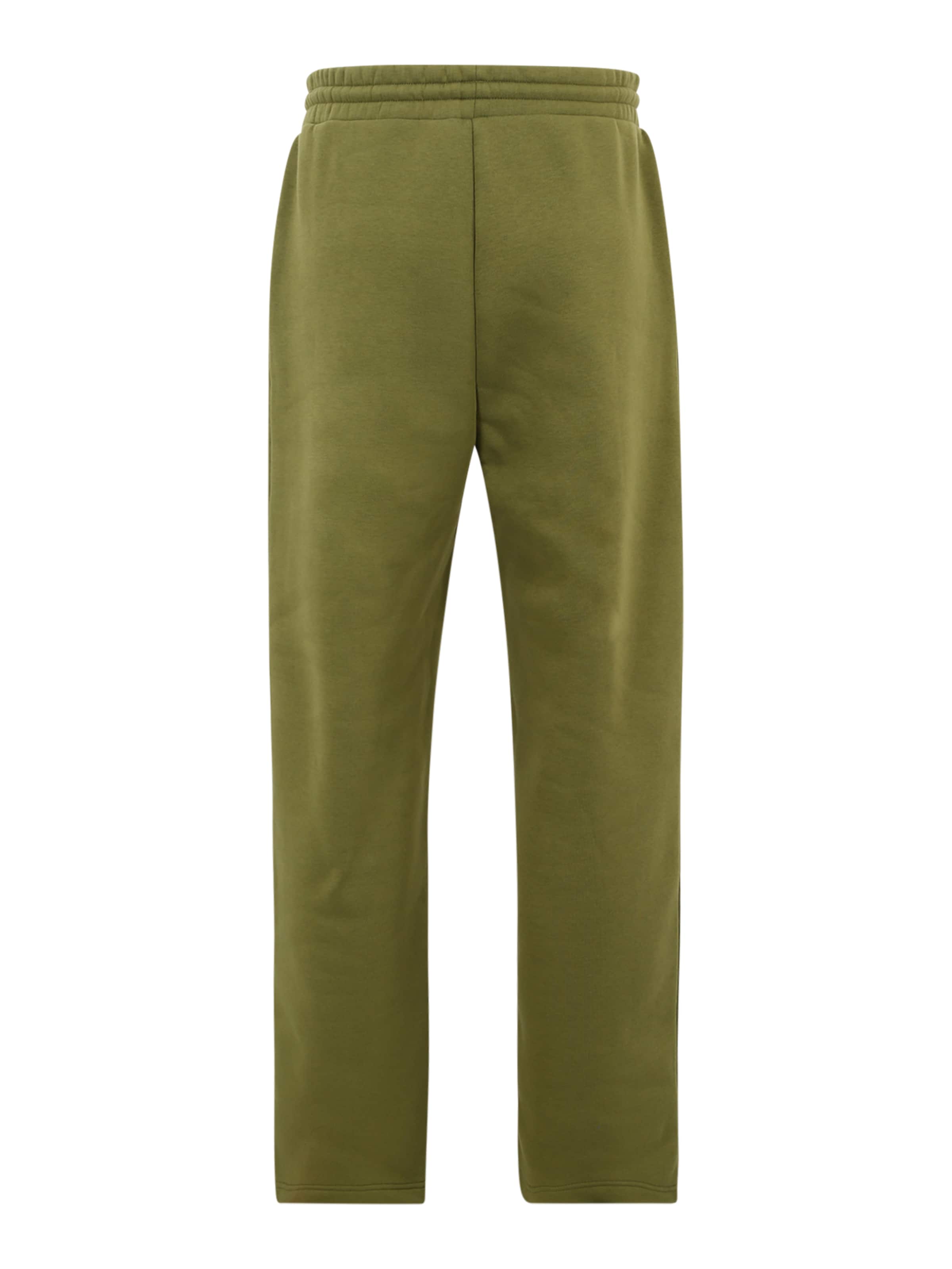 Smiles Regular Pants 'Ediz' in Green