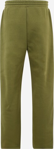 Smiles Regular Pants 'Ediz' in Green