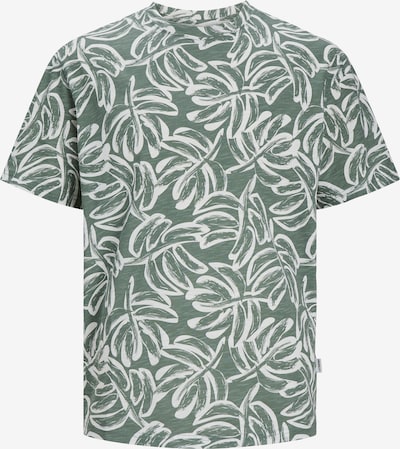 JACK & JONES Shirt 'Lafayette' in de kleur Donkergroen / Wit, Productweergave