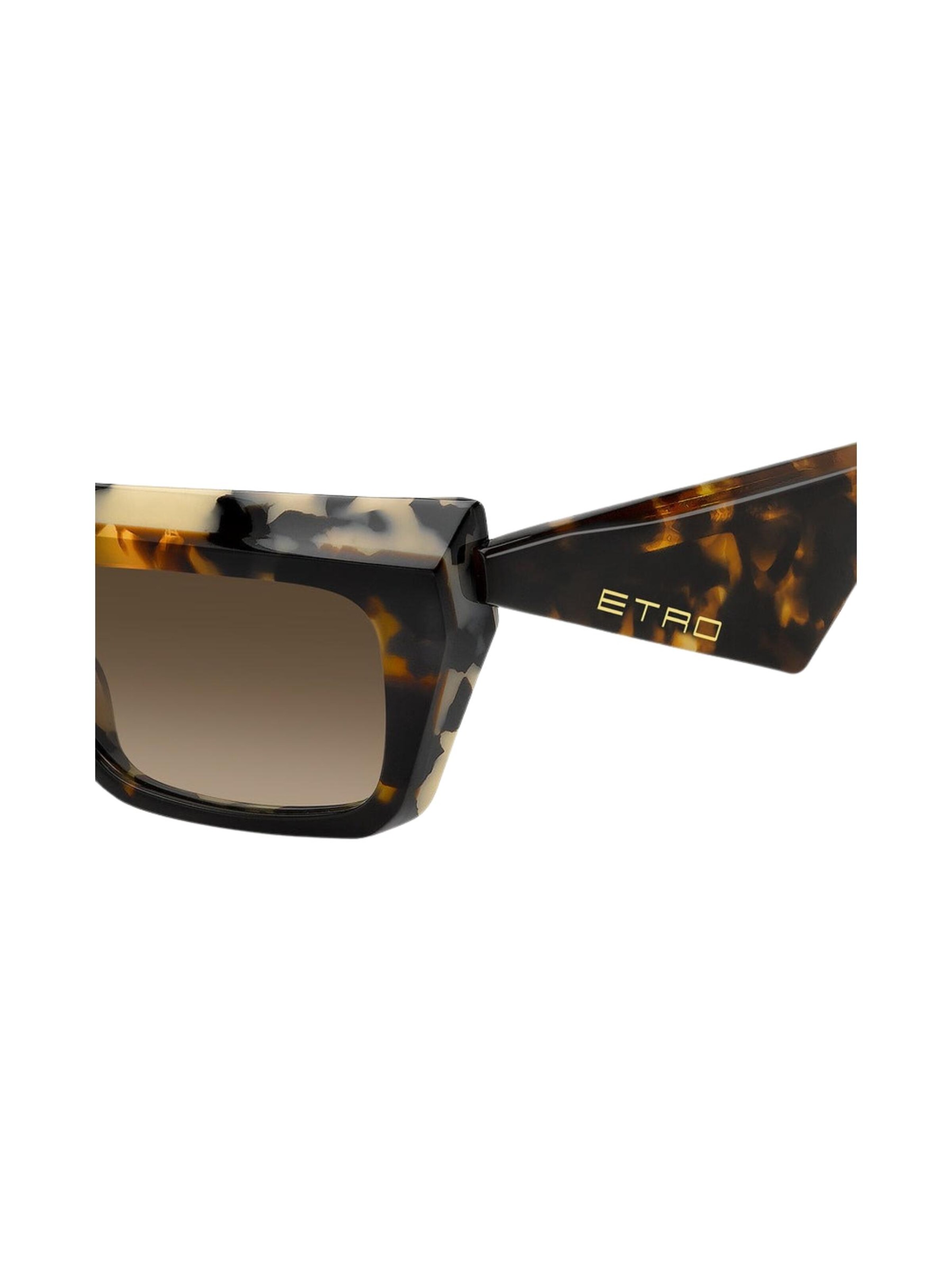 Etro Sunglasses in Brown