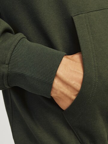 JACK & JONES Sweatshirt 'JJHAKKAI' i grøn