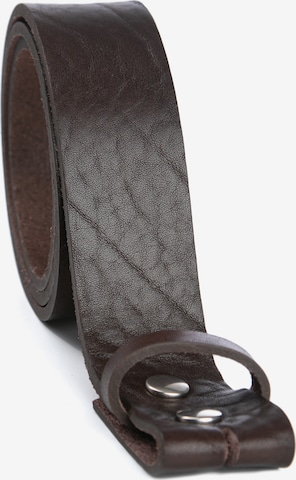 Cassandra Belt in Brown