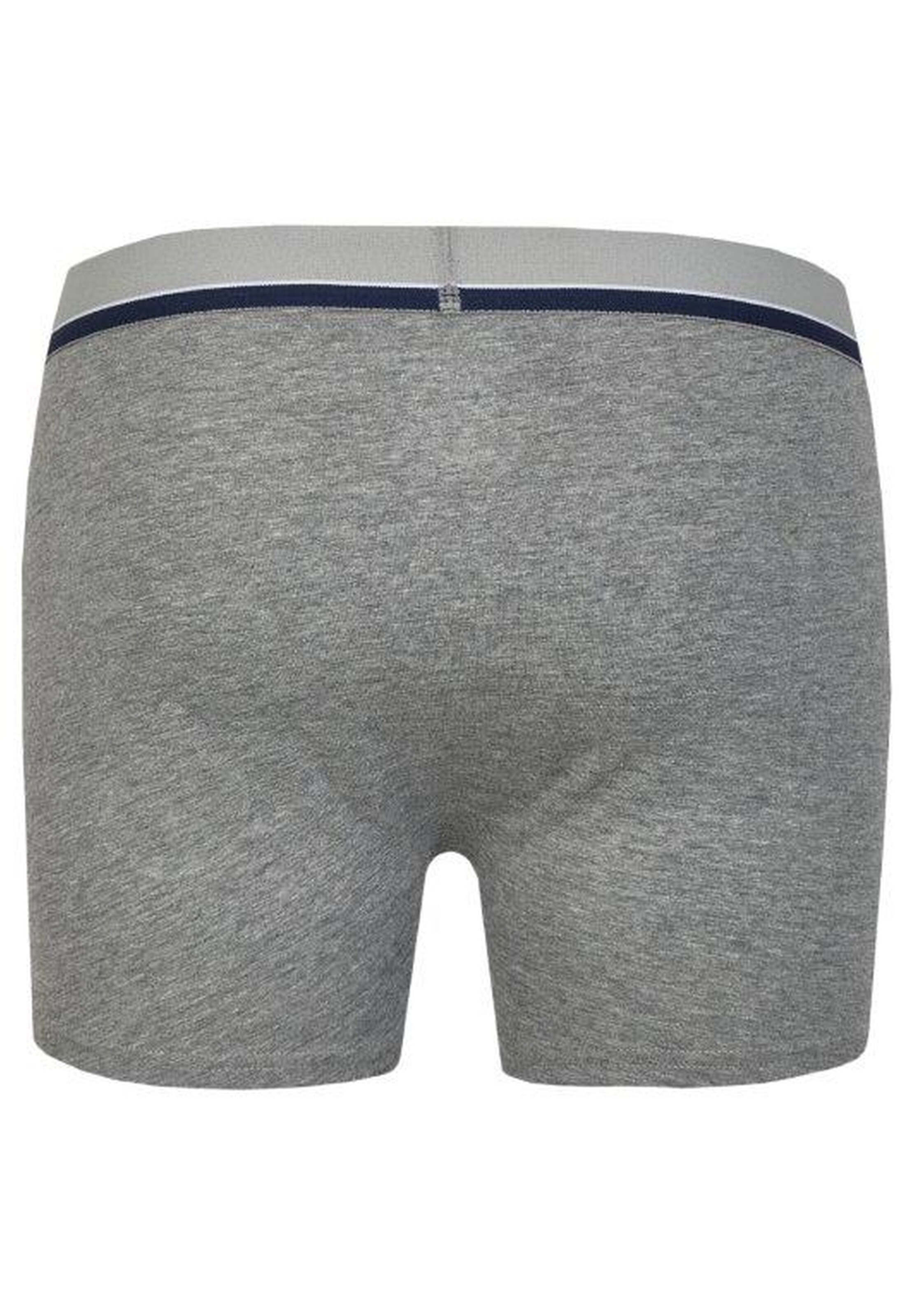 HECHTER PARIS Boxershorts in Grau