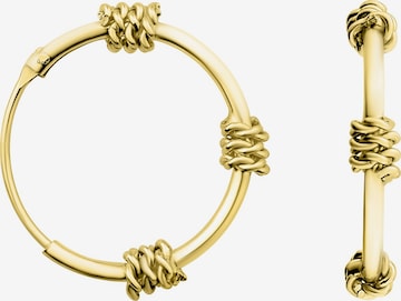Sofia Milani Ohrringe in Gold: Vorderseite