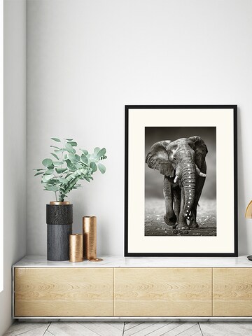 Liv Corday Image 'African Elephant' in Black
