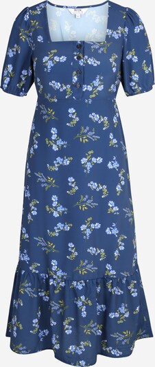 Dorothy Perkins Petite Obleka | encijan / svetlo modra / zelena barva, Prikaz izdelka