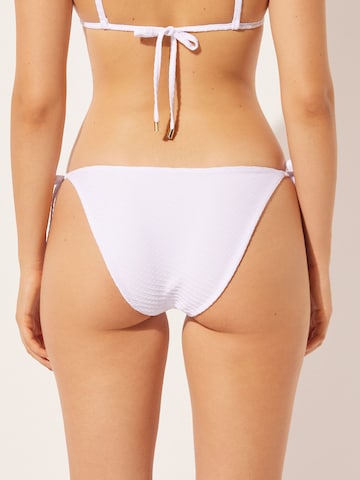 CALZEDONIA Bikini Bottoms 'BLACK WAVES' in White