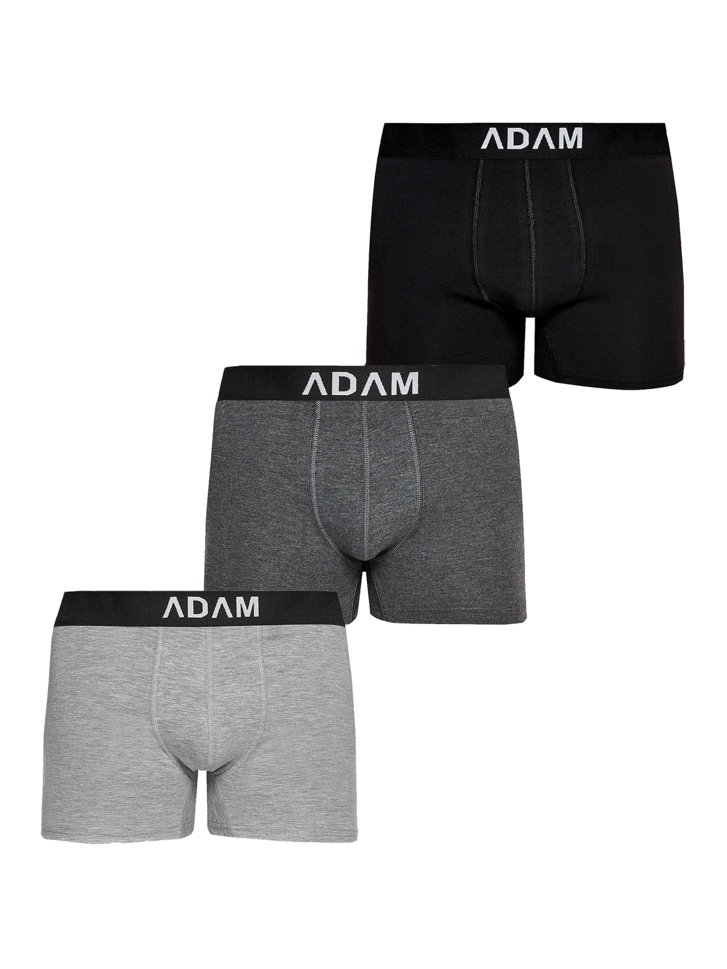Adam Boxer shorts '3er Pack' in Grey: front