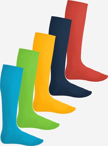 footstar Kniestrümpfe 'EVERYDAY!' in Blau: Vorderseite