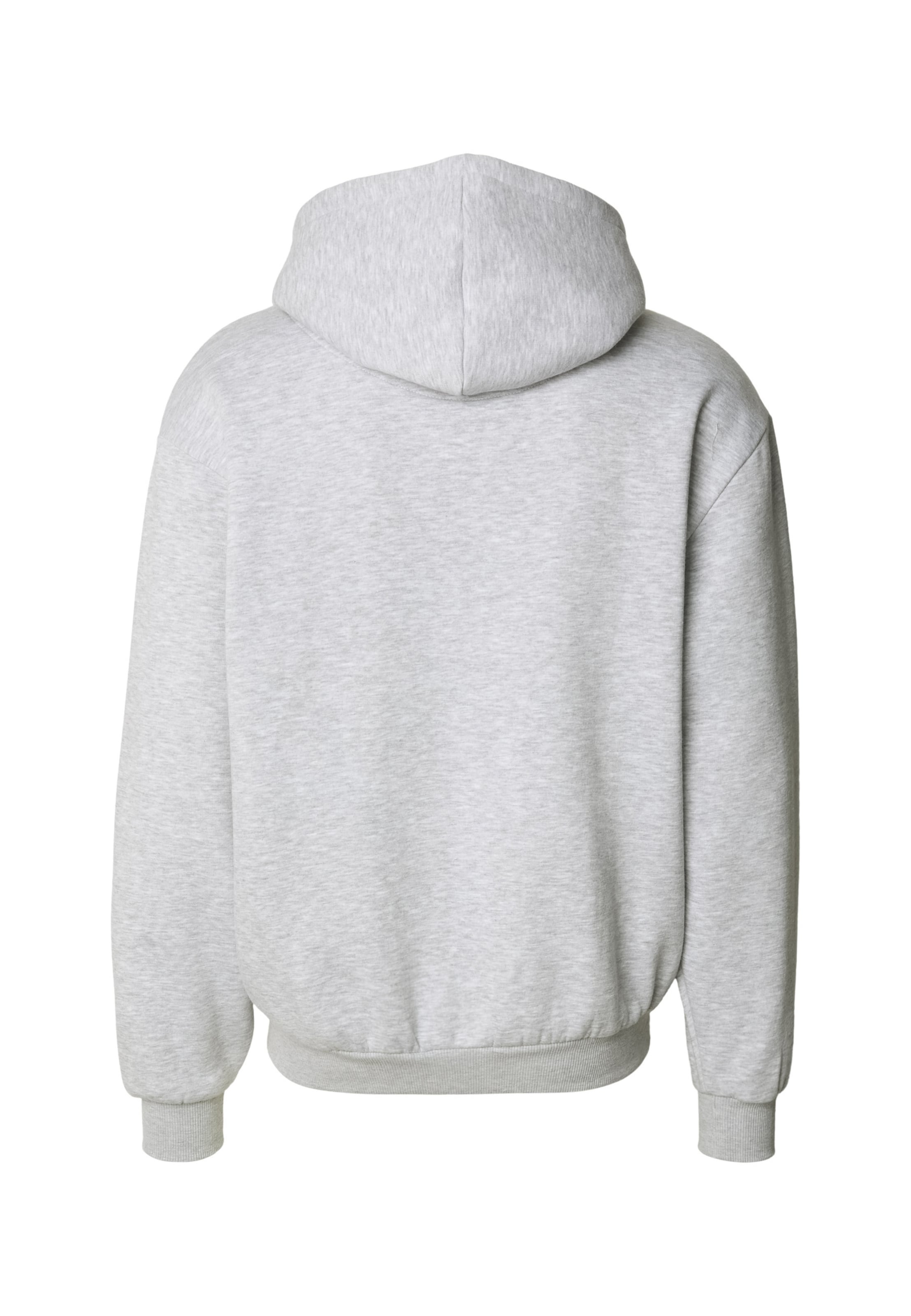 Karl Kani - Sudadera con cremallera 'Essential' en gris