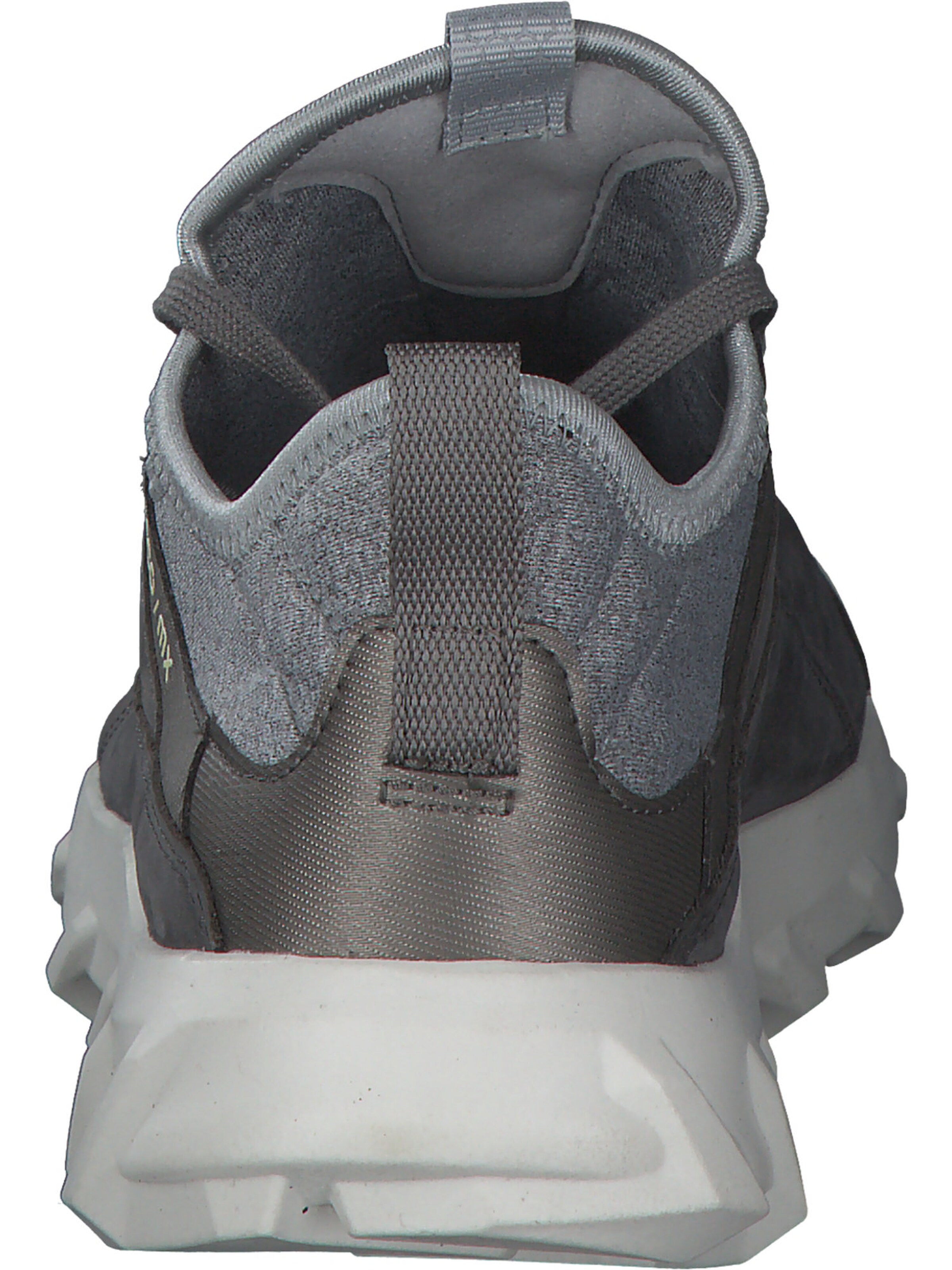 Baskets basses ECCO en gris