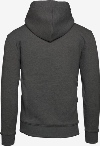 Sweat-shirt ALPHA INDUSTRIES en gris