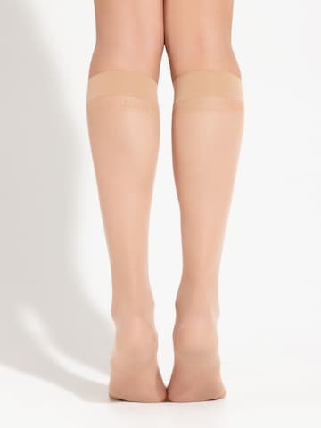 JOOP! Kniestrümpfe in Beige