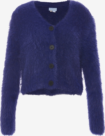 Poomi Knit Cardigan in Blue: front