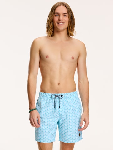 Shiwi Board Shorts 'Sea' in Blue: front