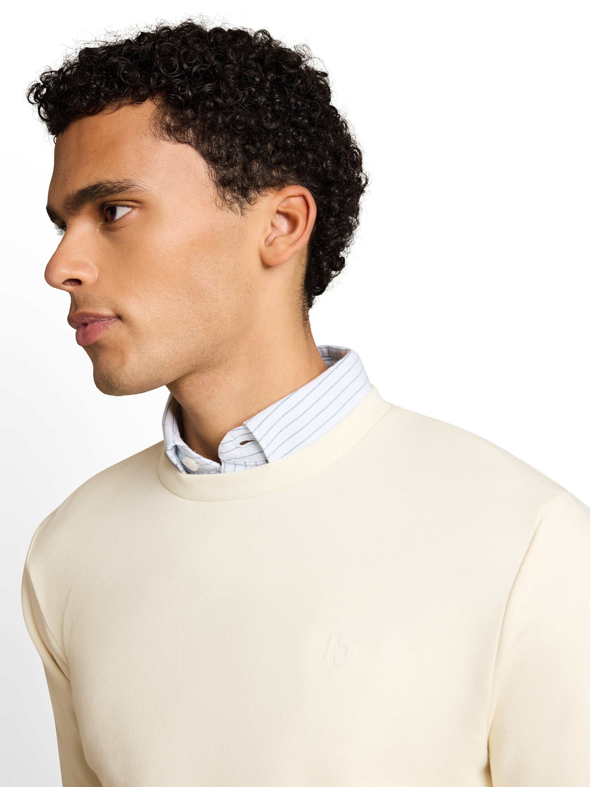 TOM TAILOR DENIM Sweatshirt i beige